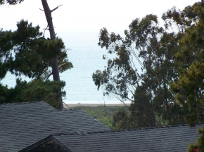 Croyden Lane, Cambria, CA 93428 : Cambria Real Estate