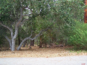 Warren Road, Cambria, CA 93428 : Cambria Real Estate