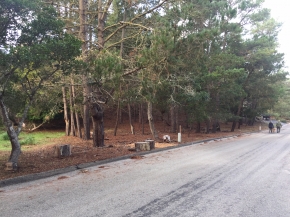 1725 and 1735 Avon Avenue, Cambria, CA 93428 : Cambria Real Estate